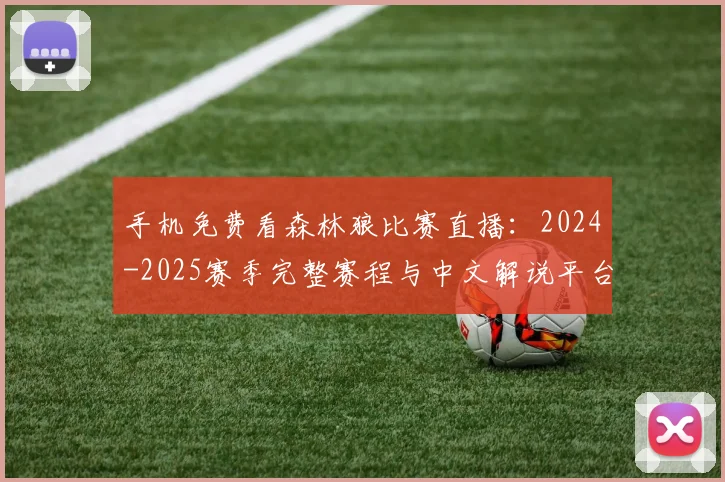 手机免费看森林狼比赛直播：2024-2025赛季完整赛程与中文解说平台推荐