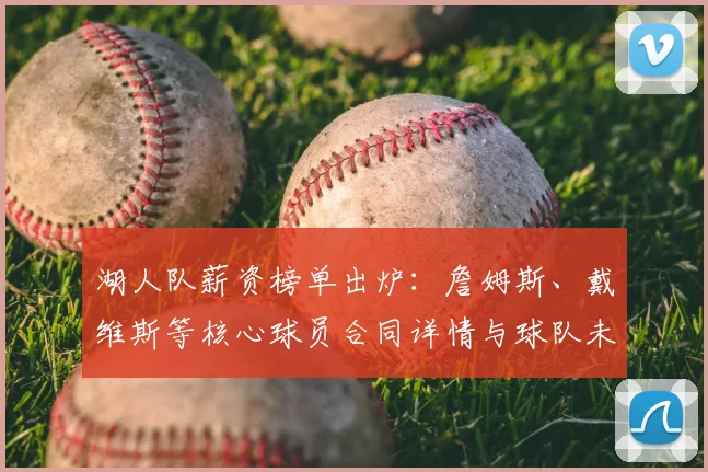 湖人队薪资榜单出炉：詹姆斯、戴维斯等核心球员合同详情与球队未来薪资空间深度解析